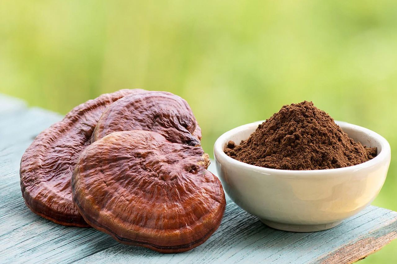 Gano Excel Türkiye 2