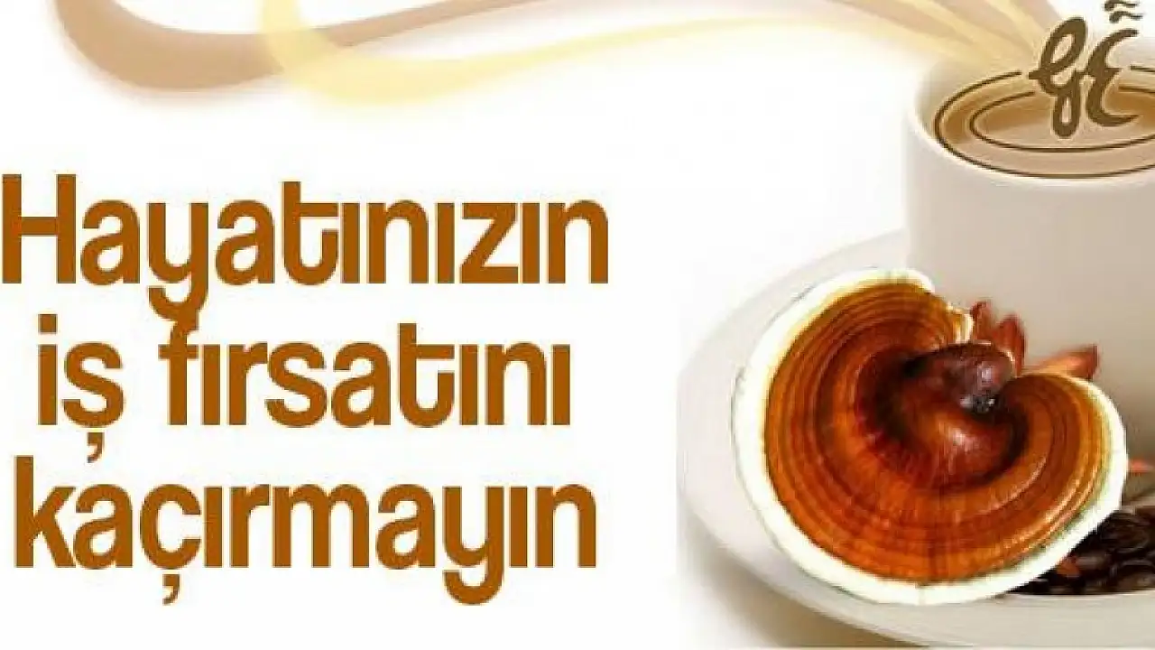 Gano Excel Türkiye 3